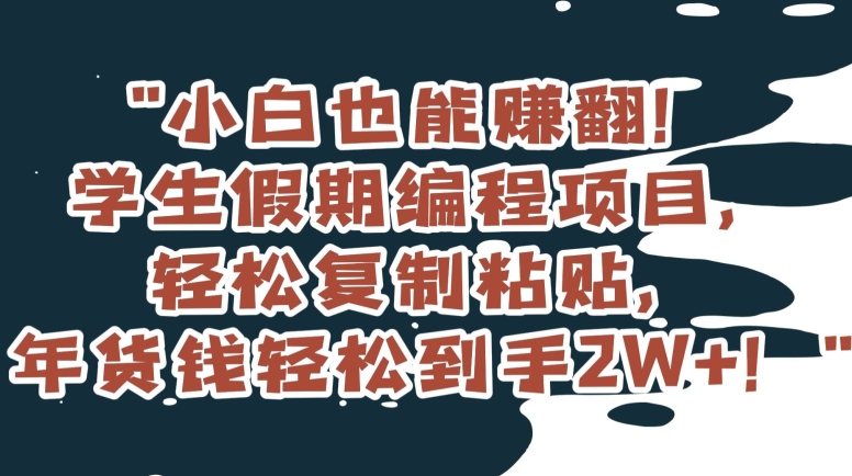 小白也能赚翻！学生假期编程项目，轻松复制粘贴，年货钱轻松到手2W+【揭秘】-恒创联盟资源网