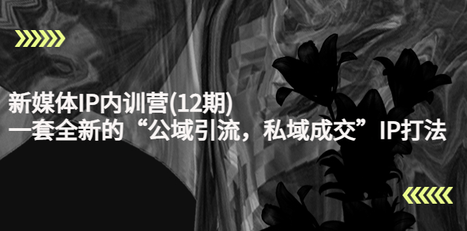 （4103期）新媒体IP内训营(12期)，一套全新的“公域引流，私域成交”IP打法，直接带走-恒创联盟资源网