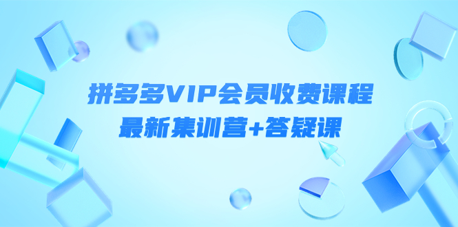 （4127期）某社群·拼多多VIP会员收费课程，最新集训营+答疑课-价值3299元-恒创联盟资源网