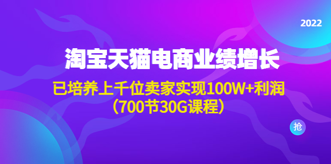 （4409期）淘系天猫电商业绩增长：已培养上千位卖家实现100W+利润（700节30G课程）-恒创联盟资源网