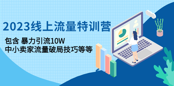 （4567期）2023线上流量特训营：包含暴力引流10W+中小卖家流量破局技巧等等-恒创联盟资源网