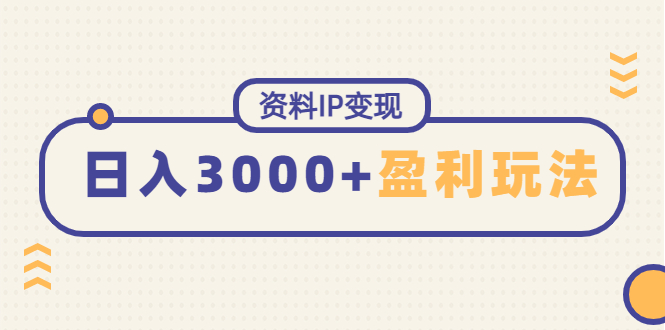 （4576期）资料IP变现，能稳定日赚3000起的持续性盈利玩法-恒创联盟资源网