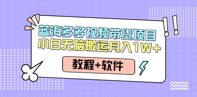 （4343期）人人都能操作的蓝海多多视频带货项目 小白无脑搬运月入10000+（教程+软件）-恒创联盟资源网