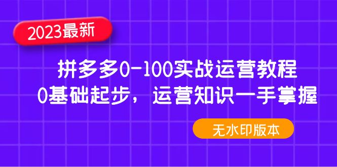 （4835期）2023拼多多0-100实战运营教程，0基础起步，运营知识一手掌握（无水印）-恒创联盟资源网