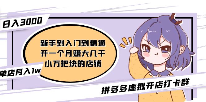 （5023期）拼多多虚拟开店打卡群：入门到精通（昨日群里有小伙伴日入3000+）2月26更新-恒创联盟资源网