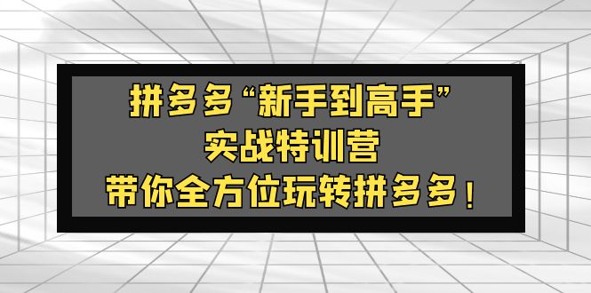（5173期）拼多多“新手到高手”实战特训营：带你全方位玩转拼多多！-恒创联盟资源网