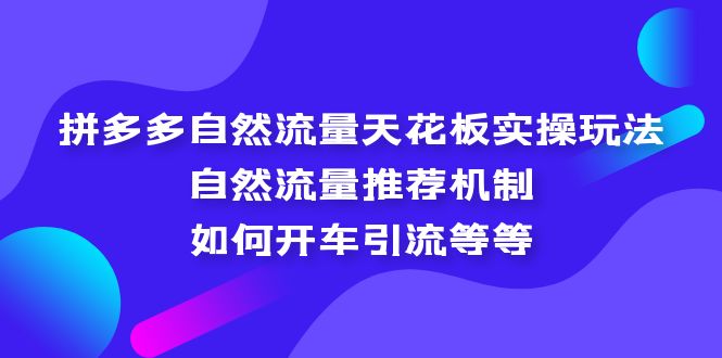 (5327期)拼多多自然流量天花板实操玩法:自然流量推荐机制,如何开车引流等等-恒创联盟资源网
