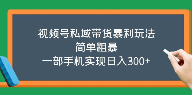 （5544期）视频号私域带货暴利玩法，简单粗暴，一部手机实现日入300+-恒创联盟资源网