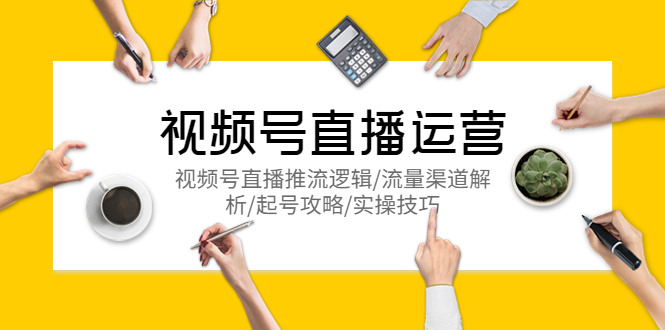 （5730期）视频号直播运营，视频号直播推流逻辑/流量渠道解析/起号攻略/实操技巧-恒创联盟资源网