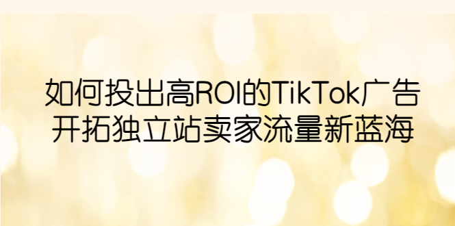 （6102期）如何投出高ROI·TikTok广告，开拓独立站卖家流量新蓝海-恒创联盟资源网