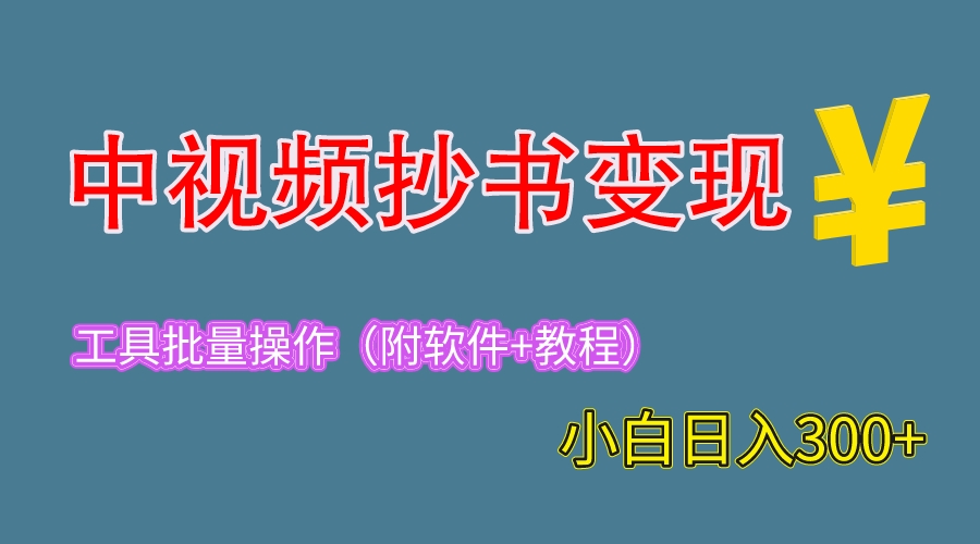（6246期）2023中视频抄书变现（附工具+教程），一天300+，特别适合新手操作的副业-恒创联盟资源网