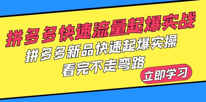 （6253期）拼多多-快速流量起爆实战，拼多多新品快速起爆实操，看完不走弯路-恒创联盟资源网