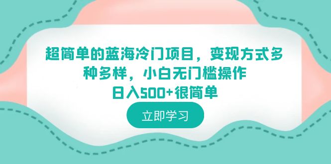 （6422期）超简单的蓝海冷门项目，变现方式多种多样，小白无门槛操作日入500+很简单-恒创联盟资源网