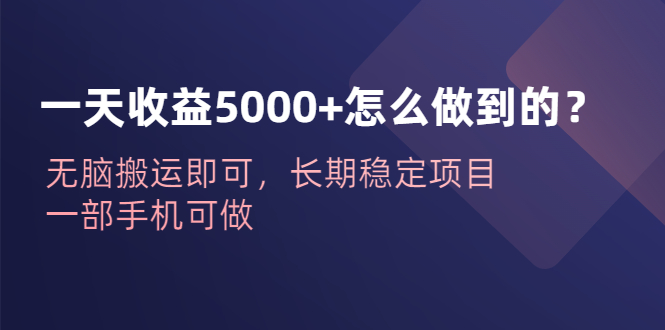 （6435期）一天收益5000+怎么做到的？无脑搬运即可，长期稳定项目，一部手机可做-恒创联盟资源网