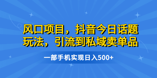(6588期)风口项目,抖音今日话题玩法,引流到私域卖单品,一部手机实现日入500+-恒创联盟资源网