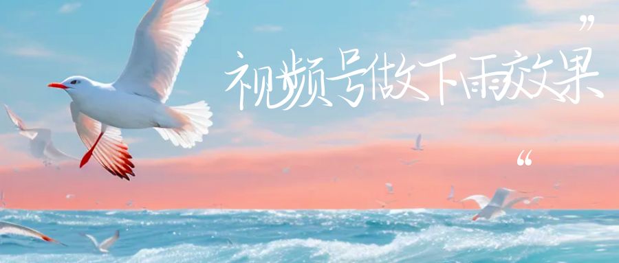 （6637期）视频号做下雨视频，一个账号一周涨粉10W+，日入1000+，附保姆级教程-恒创联盟资源网