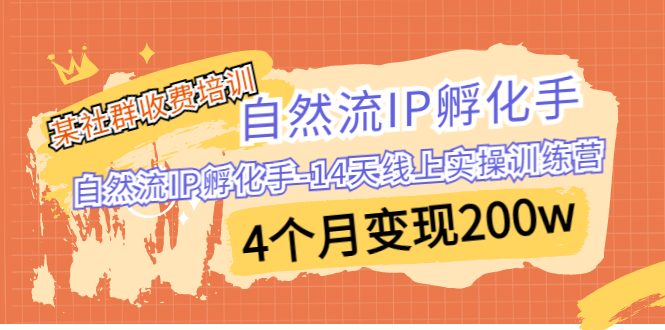 (6924期)某社群收费培训:自然流IP 孵化手-14天线上实操训练营 4个月变现200w-恒创联盟资源网