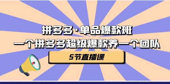 （7019期）拼多多·单品爆款班，一个拼多多超级爆款养一个团队（5节直播课）-恒创联盟资源网