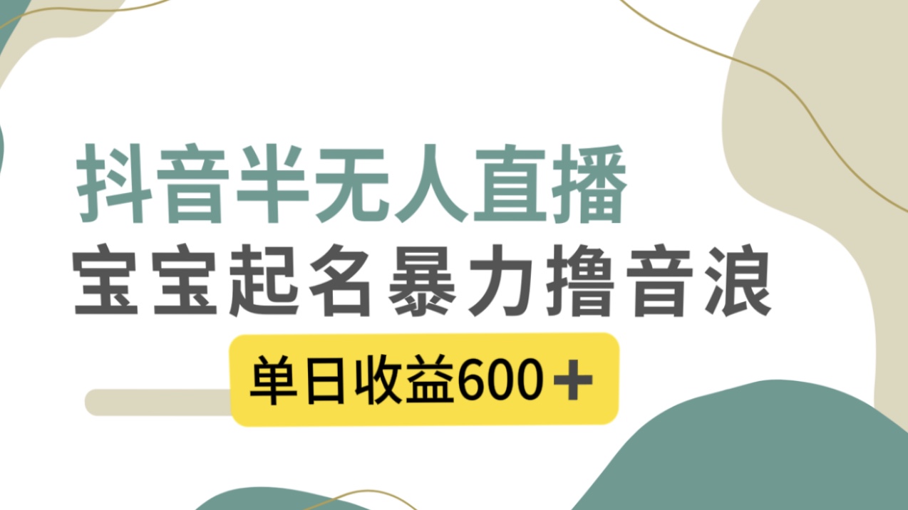 （8192期）抖音半无人直播，宝宝起名，暴力撸音浪，单日收益600+-恒创联盟资源网