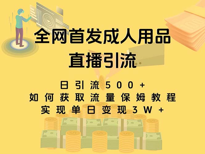 （8193期）最新全网独创首发，成人用品直播引流获客暴力玩法，单日变现3w保姆级教程-恒创联盟资源网