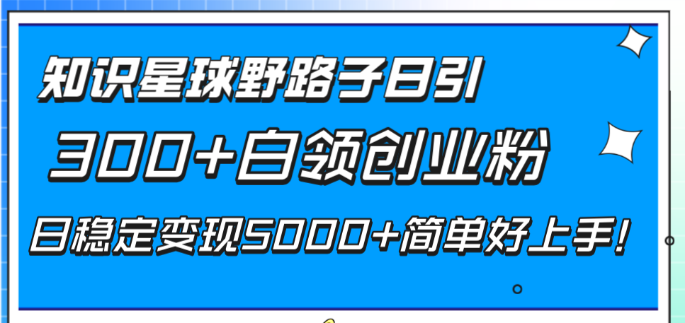 (8315期)知识星球野路子日引300+白领创业粉,日稳定变现5000+简单好上手!-恒创联盟资源网
