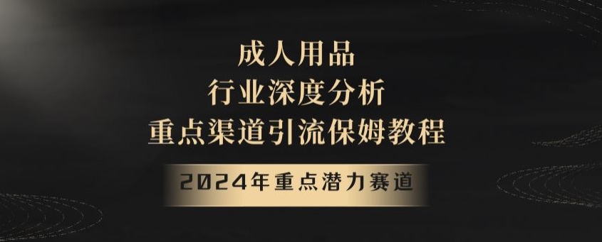 2024年重点潜力赛道，成人用品行业深度分析，重点渠道引流保姆教程【揭秘】-恒创联盟资源网