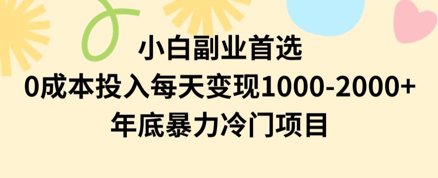 小白副业首选，0成本投入，每天变现1000-2000年底暴力冷门项目【揭秘】-恒创联盟资源网