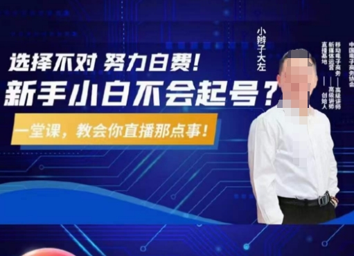 大左教您从0到1做直播带货,选择不对,努力白费,5小时课程搞定那点事,解决你起号问题-恒创联盟资源网