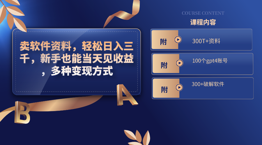 （8582期）卖软件资料，轻松日入三千，新手也能当天见收益，多种变现方式，（附300…-恒创联盟资源网