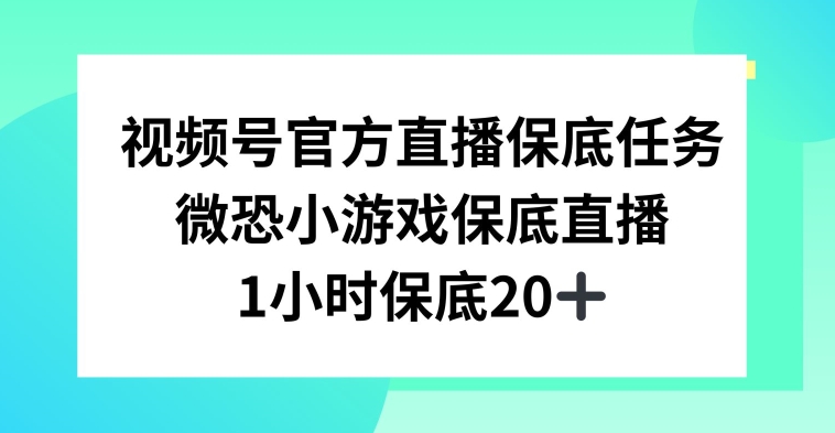 视频号直播任务，微恐小游戏，1小时20+-恒创联盟资源网