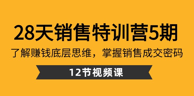 28天销售特训营5期:了解赚钱底层思维,掌握销售成交密码(12节课)-恒创联盟资源网
