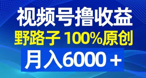视频号野路子撸收益，100%原创，条条爆款，月入6000＋-恒创联盟资源网