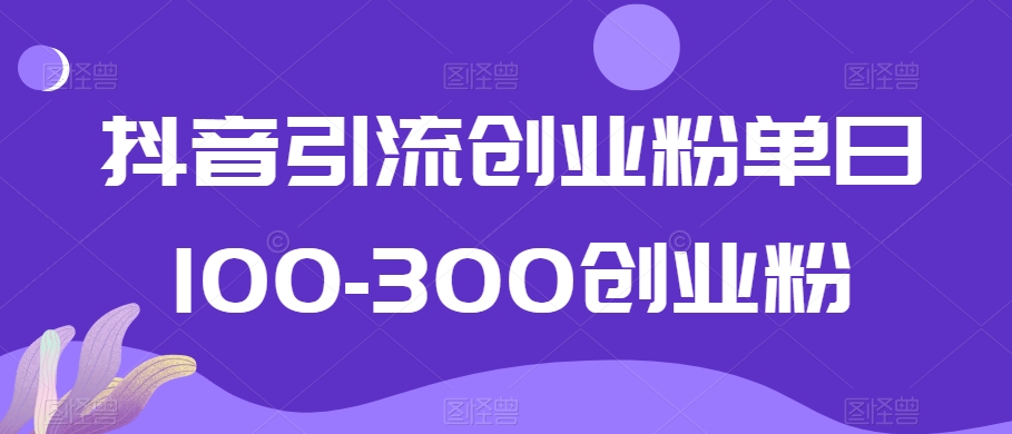 抖音引流创业粉单日100-300创业粉-恒创联盟资源网
