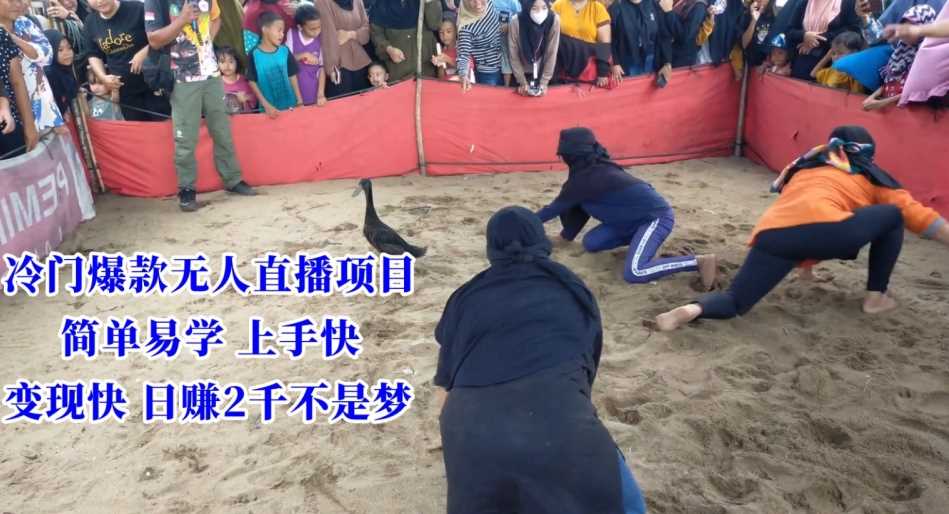 冷门爆款无人直播项目，简单易学上手快，变现快日赚2千不是梦【揭秘】-恒创联盟资源网