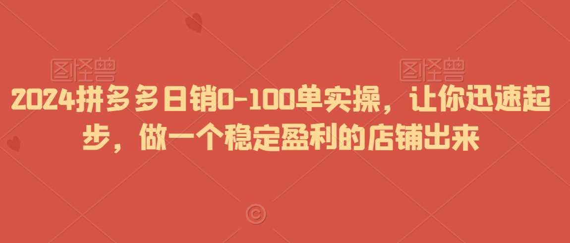 2024拼多多日销0-100单实操，让你迅速起步，做一个稳定盈利的店铺出来-恒创联盟资源网
