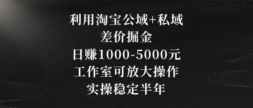 利用淘宝公域+私域差价掘金，日赚1000-5000元，工作室可放大操作，实操稳定半年【揭秘】-恒创联盟资源网