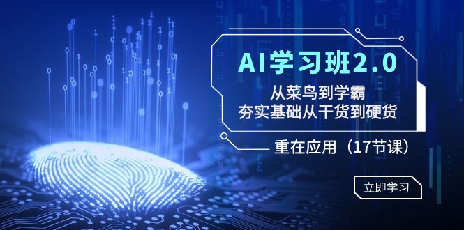 AI学习班2.0：从菜鸟到学霸，夯实基础从干货到硬货，重在应用（17节课）-恒创联盟资源网