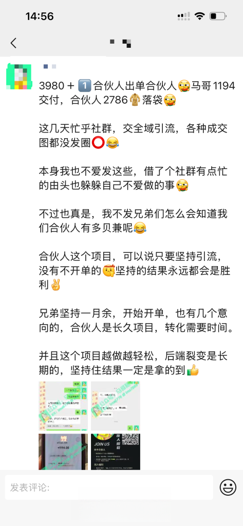 图片[9]-【社群成员专享】卖项目合伙人项目-恒创联盟资源网