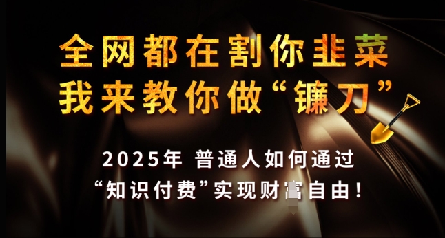 全网都在割你韭菜,我来教你做镰刀,2025年普通人如何通过 知识付费 实现财F自由【揭秘】-恒创联盟资源网