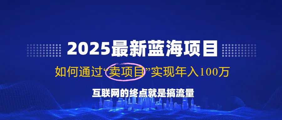 2025最新蓝海项目，零门槛轻松复制，月入10万+，新手也能操作！-恒创联盟资源网