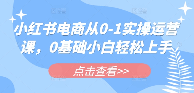 小红书电商从0-1实操运营课,0基础小白轻松上手-恒创联盟资源网