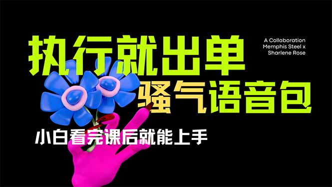 爆火全网的开车导航骚气语音包,只要执行就出单，小白看完课程就能实操…-恒创联盟资源网