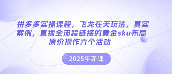 拼多多实操课程,飞龙在天玩法,真实案例,直播全流程链接的黄金sku布局原价操作六个活动-恒创联盟资源网
