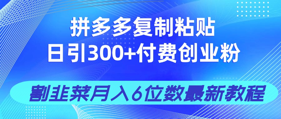 拼多多复制粘贴日引300+付费创业粉,割韭菜月入6位数最新教程!-恒创联盟资源网