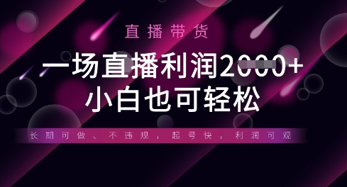 半无人直播带货，一场利润数张，适合所有平台玩法，小白也可轻松-恒创联盟资源网