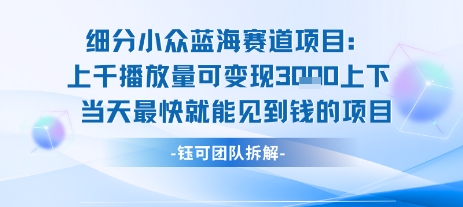 小众蓝海赛道项目：当天变现1k+适合新手操作 +适合长期玩-恒创联盟资源网