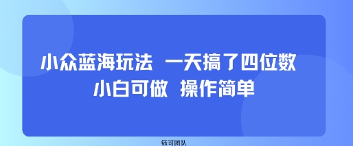 小众蓝海玩法 一天搞了四位数 小白可做 操作简单-恒创联盟资源网