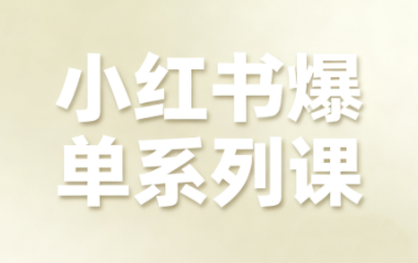 尼采老师·小红书爆单系列课-恒创联盟资源网