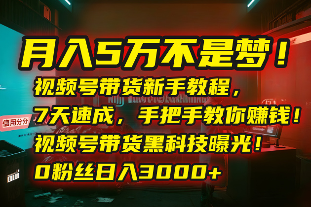 月入5万不是梦！视频号带货新手教程，7天速成，手把手教你赚钱！视频号…-恒创联盟资源网