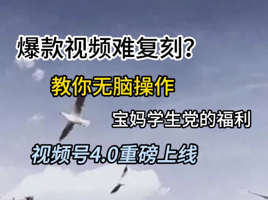 视频号4.0重磅上线，爆款视频难复刻？教你无脑操作宝妈学生党的福利【揭秘】-恒创联盟资源网